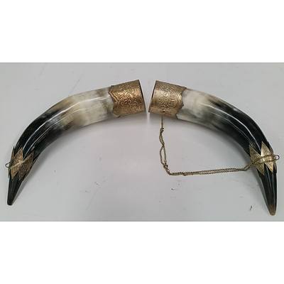 Pair of Ornate Buffalo Horns