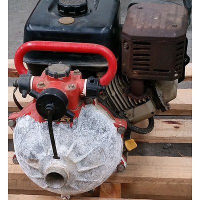 Briggs & Stratton 6Hp Motor with Davey Firefighter Single impeller pump