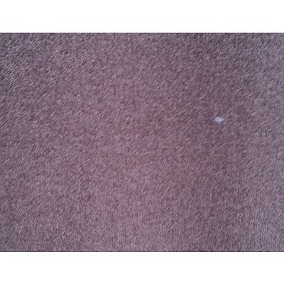Roll End of Mauve Wool Carpet