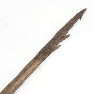 Vintage indigenous Spear