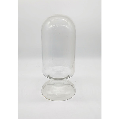 Glass Terrarium Jar