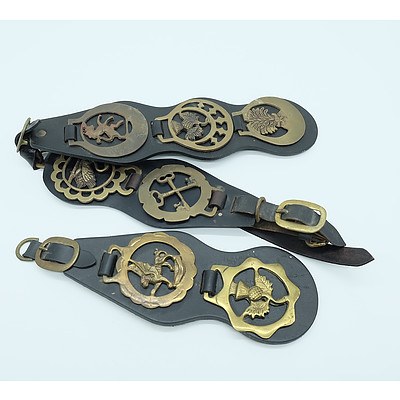 A Group of Vintage Horse Brasses on Leather Martingales with Buckles and Rings