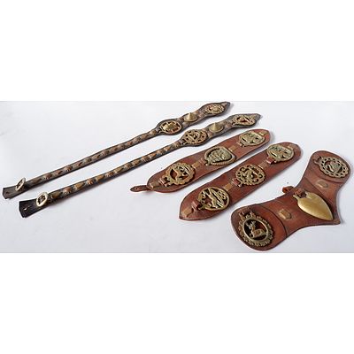 Group of Five Horse Brasses on Leather Martingales with Buckles and Rings