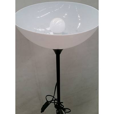 Contemporary Floor/Reading Lamp