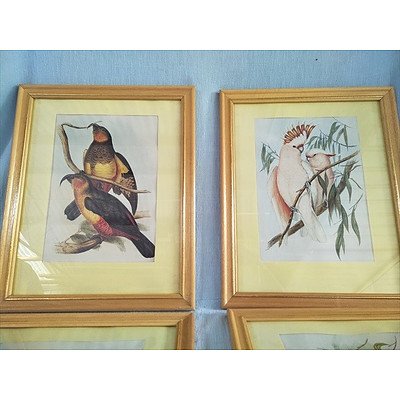 Set of 4 framed bird prints