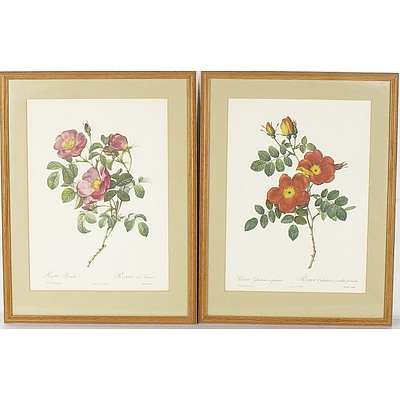 Two Oak Framed Botanical Prints