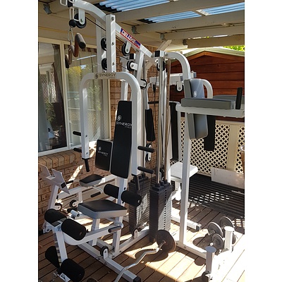 Synergy Fitness Deluxe Four Station Gym