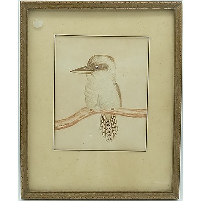 Kookaburra Watercolour 1942