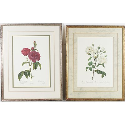 Two Botanical Offset Prints and a Snow Covered Landscape Offset Print