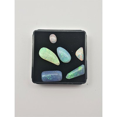 Collection of Opal - Polished