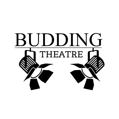 Budding Theatre - Drama Classes for a Child (ages 5-18)