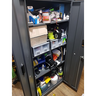 Storage Cabinet with Contents