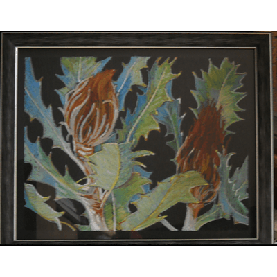Painting: "Banksia heliantha" by Rosemary Von Behrens, 2013, Oil pastel and oil stick on plywood