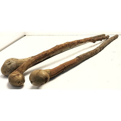 Three Vintage Root Knob Walking Sticks