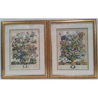 Framed Floral Prints - Lot of Two