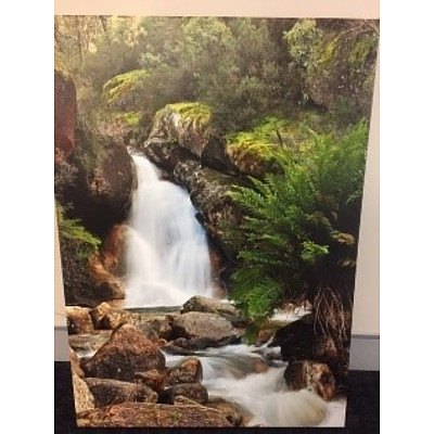 Steve Berry "Waterfall" Photo on Canvas