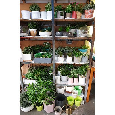 Assorted Faux Plants and Selection of Pots