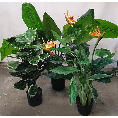 3 x Large Faux Plants