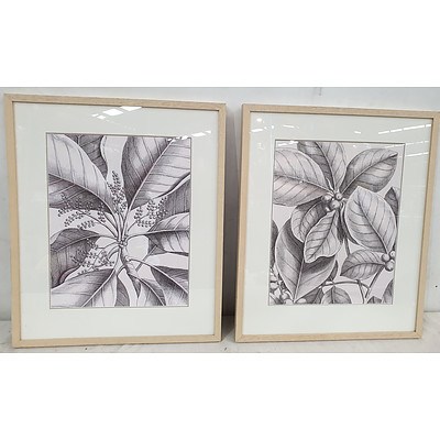 Glass Framed Leaf Prints - Lot of Two