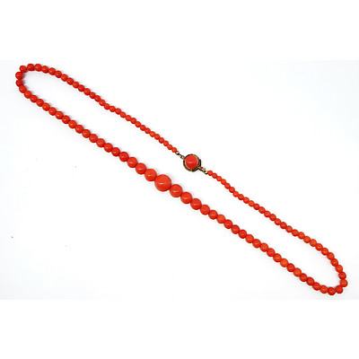 Strand of Red Coral Beads, Graduated from 3.5-10mm