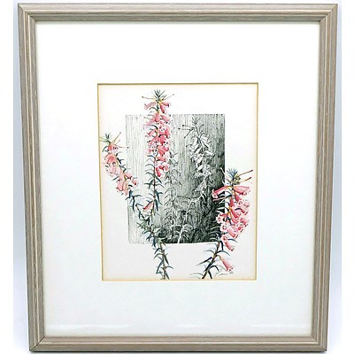 A Pair of Framed Botanical Watercolour and Ink Pictures by Brown, 1992, and a Sketch of a Church by Unknown