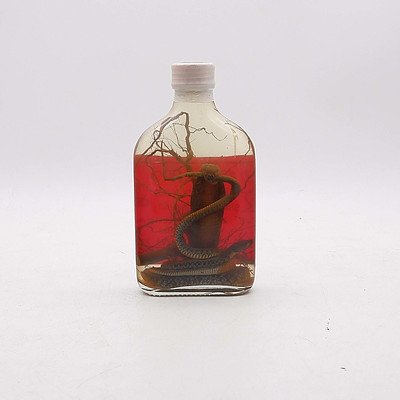Snake Whisky Bottle