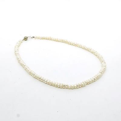 Strand of Freshwater Pearls, Roughly Button Shaped with Sterling Silver Clasp