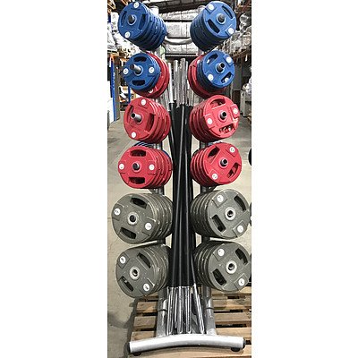 LifeFitness Steel Rack with Weights & Barbells