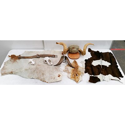 Two Skulls, Two Sets of Horns, Fox Head Pelt and Two Hides