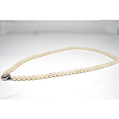 Strand of Japanese Cultured Pearls, 7-7.5mm, Well Rounded with Pinkish Tint with Silver Clasp