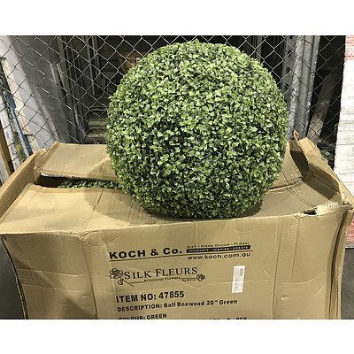 2 Large Ornamental Ball Boxwood Plants