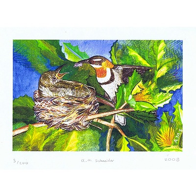 Set of 3 Landscape format Australian bird prints