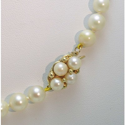 Akoya Japanese Cultured Pearl Necklace