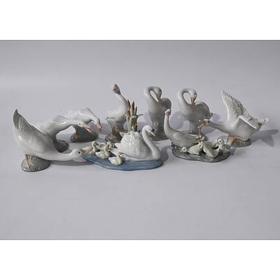 Collection of Lladro Swans