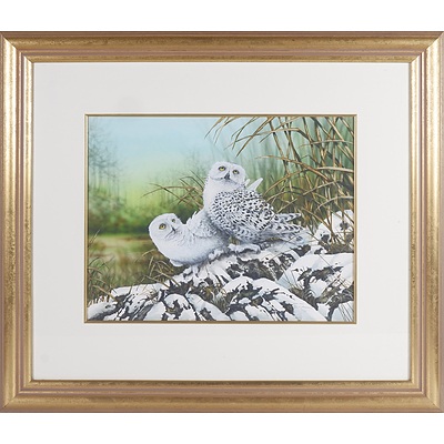 Paul Margocsy (1945-) Snowy Owls, Watercolour and Gouache
