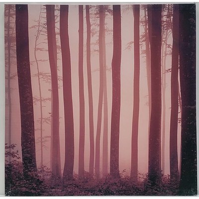 Stretched Canvas Forest Print