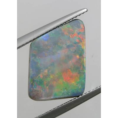 Australian Solid Black Opal - Bright Spectral Colours