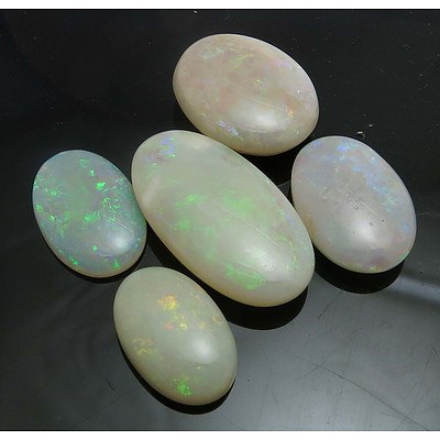 Collection of Australian Solid White Opals