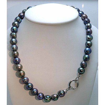Black Fresh-Water Cultured Pearl Necklace- Large Pearls