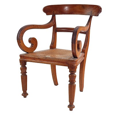 Australian Colonial Cedar Scrolled Arm Carver Chair with Woven Cane Seat, Circa 1840