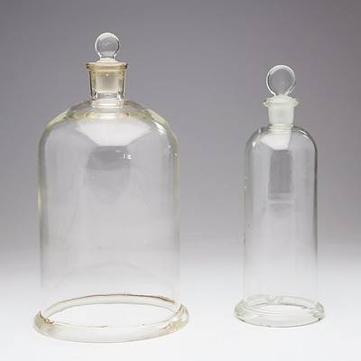 Pair of Glass Bell Jars with Glass Stoppers