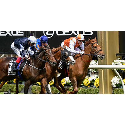Corporate Suite to attend a nominated day at Flemington Races for 20 guests - Valued at $10000