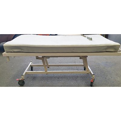 Alrick Electronic Patient Bed