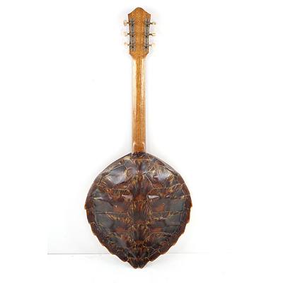 Fantastic Bespoke Tortoise Shell Backed Guitar