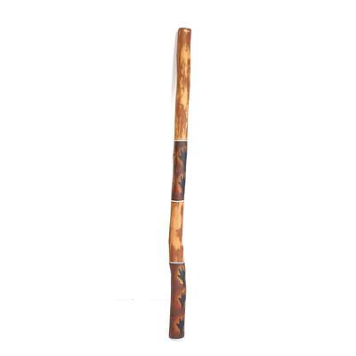 Aboriginal Artist Unknown, Hand Painted Didgeridoo