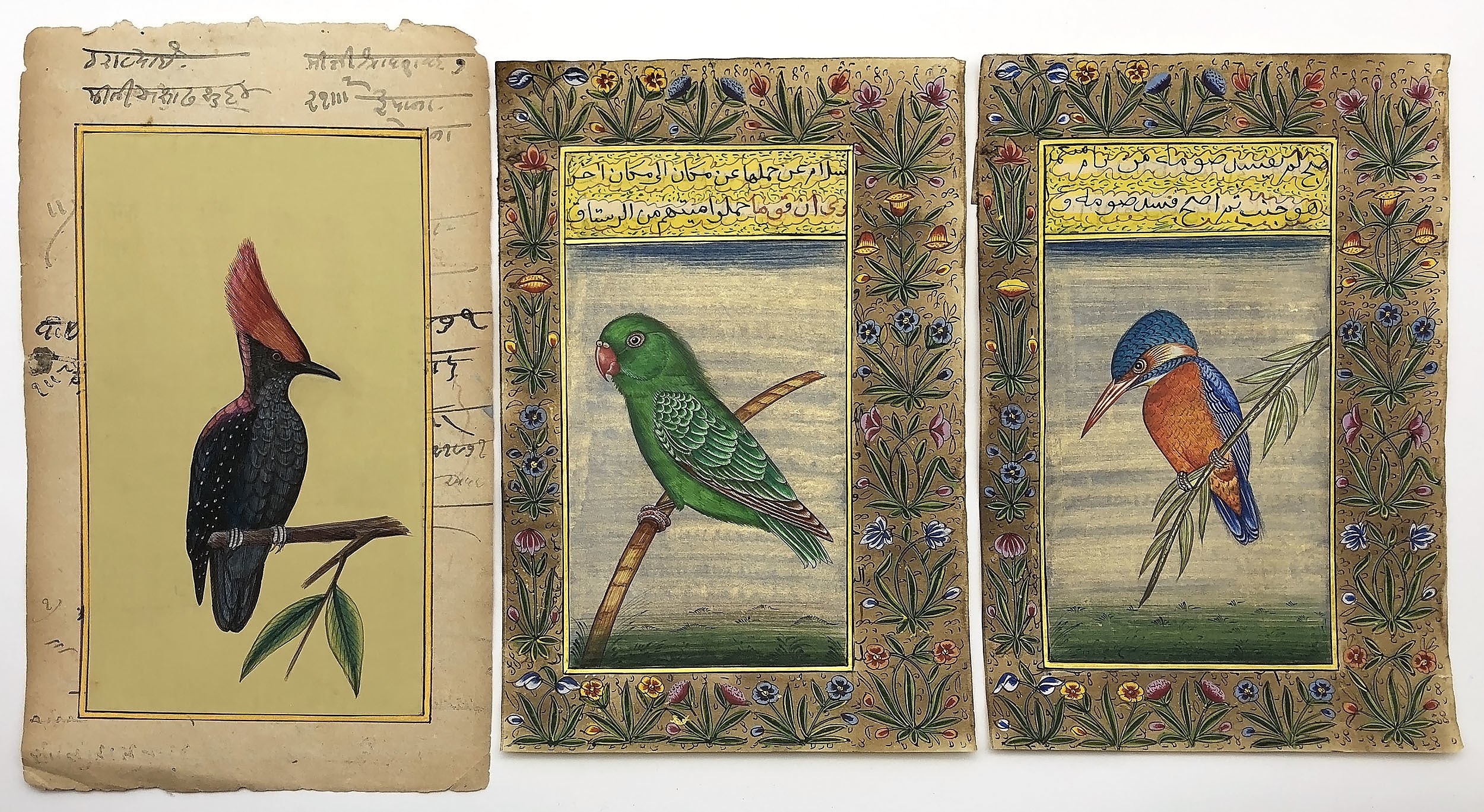 'Three Indo-Persian Miniature Paintings of a Birds with Calligraphy Verso'