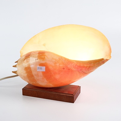 Retro Shell Lamp