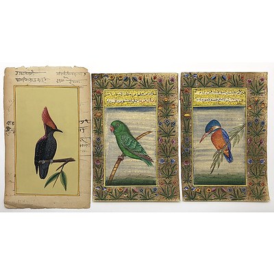 LATE ADDITION Three Indo-Persian Miniature Paintings of Birds with Calligraphy Verso