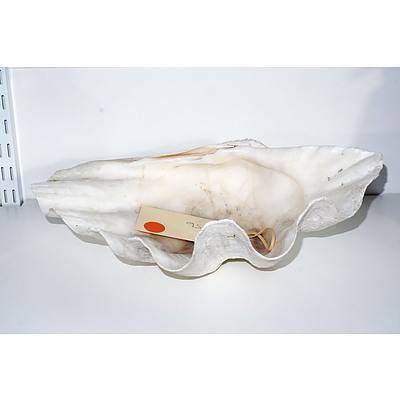 Vintage Clam Shell