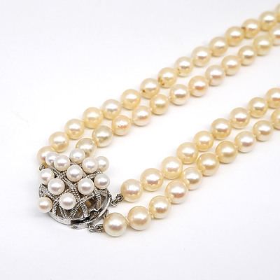 Double Strand of Cultured Pearls